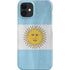 Argentina Flag Distressed iPhone 12 Mini Lite Case